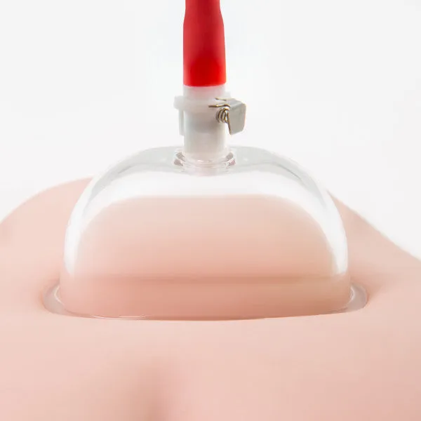Male Sex Toys | Blush Novelties Temptasia Intense Pussy Pump System