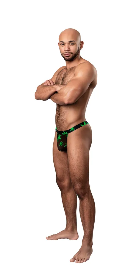 Male Sex Toys Male Power Hazy Dayz Micro Thong LargexLarge Pot Leaf Male Sex Toys Male Power Hazy Dayz Micro Thong LargexLarge Pot Leaf