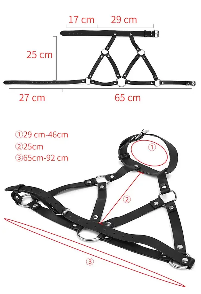Pleasure Passion Female Sex Toys Open Cup Harness Bra